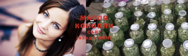 твердый Верхний Тагил