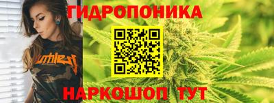 крисы Усть-Джегута