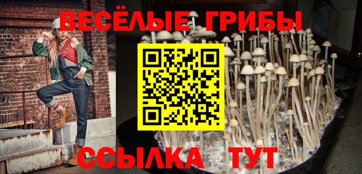 Галлюциногенные грибы ЛСД Серпухов