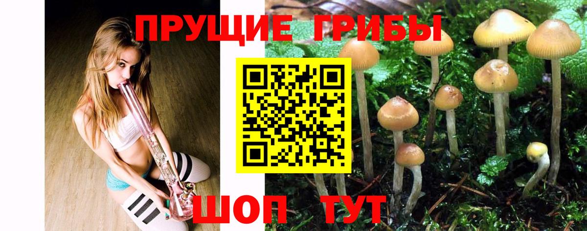 Псилоцибиновые грибы Cubensis  Вход с VPN  Серпухов 